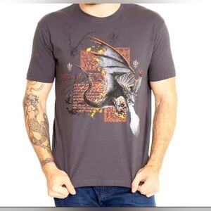 Harry Potter rockwear Men's Dragon Graphic Tee - Dark Gray large